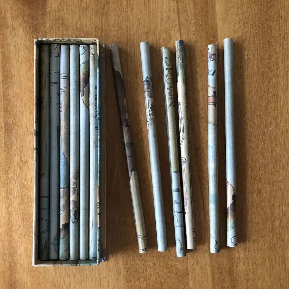 Pier 1 Imports Pencil Set with Case 12 Count NEW